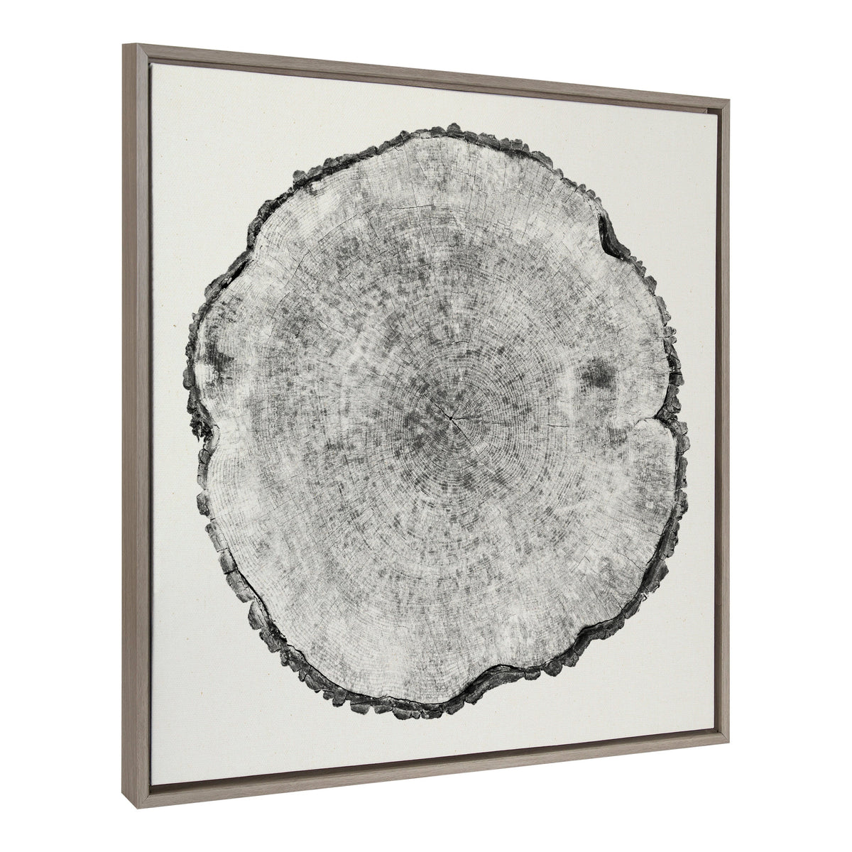 Sylvie Tree Rings Linen Framed Canvas by Emiko and Mark Franzen of F2Images