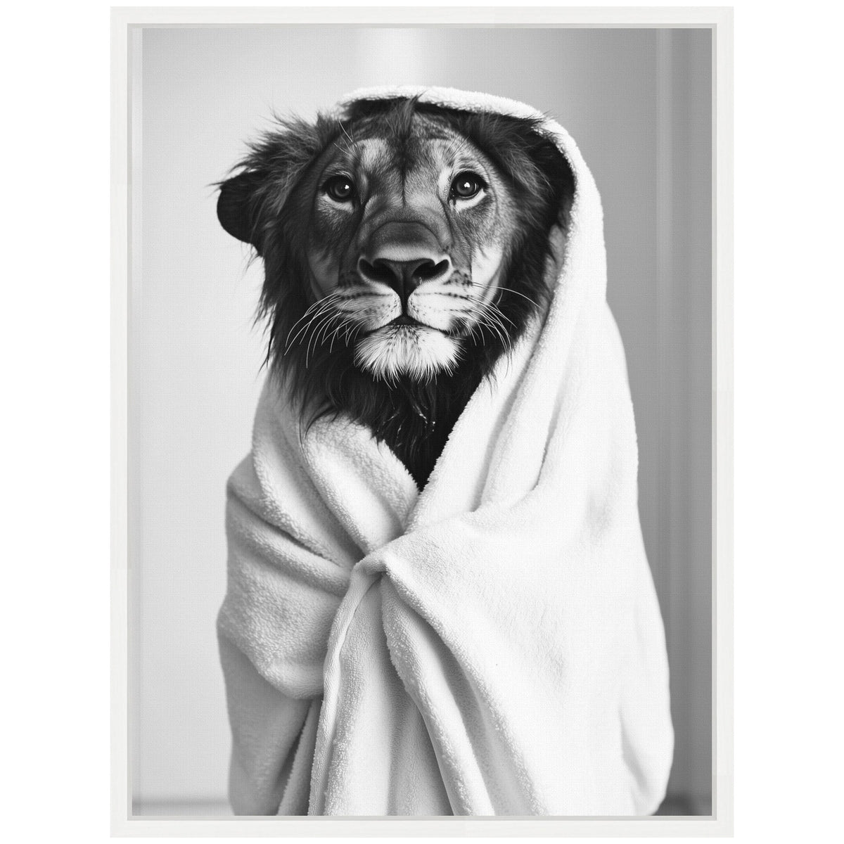 Sylvie Lioness Bathroom Art Towel Robe Black and White Framed Canvas by The Creative Bunch Studio