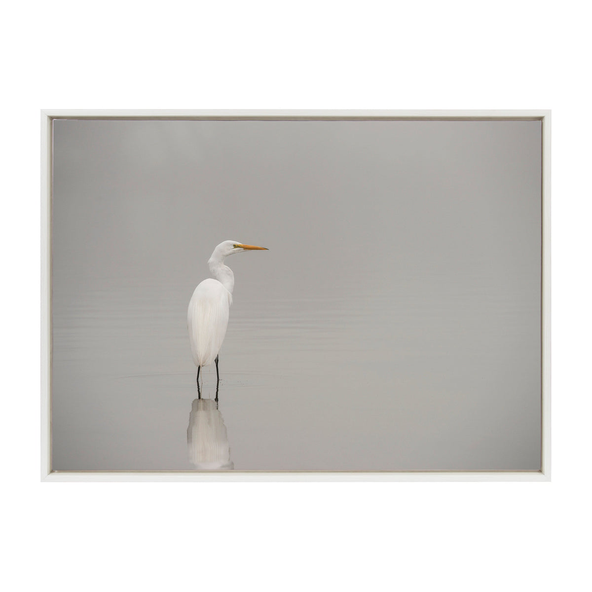 Sylvie Great White Egret Framed Canvas by Crystal Lynn Collins
