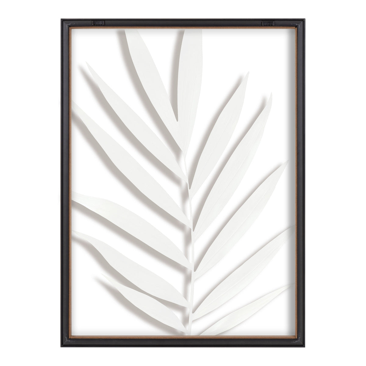 Blake Botanical 5F Framed Printed Glass by Amy Peterson