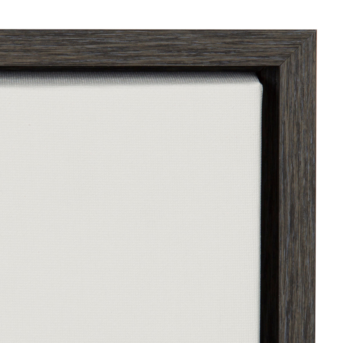 Sylvie Haze Cactus Succulent Tall Framed Canvas by The Creative Bunch Studio