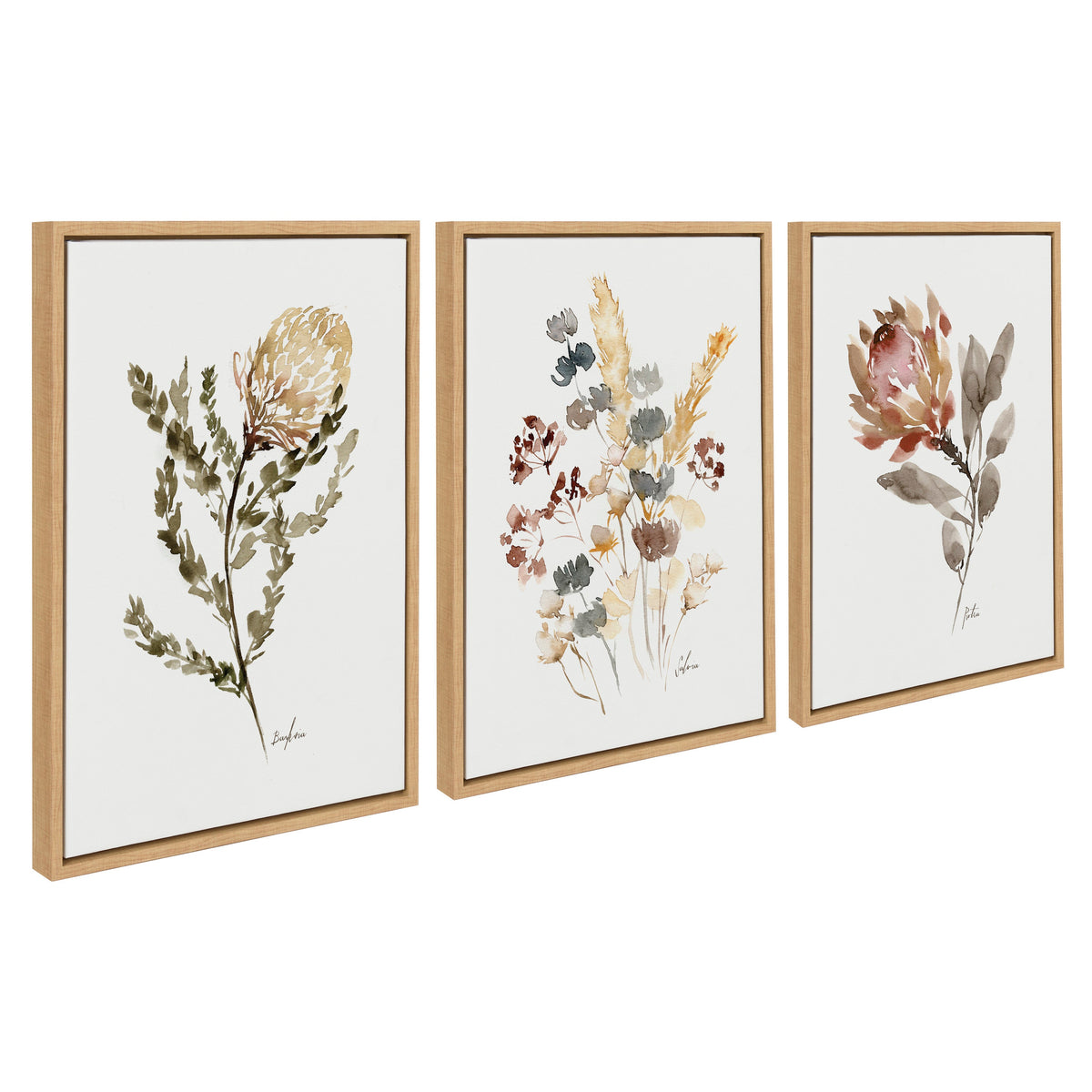 Sylvie Wild Banksia Wild Salvia and Wild King Protea Framed Canvas by Sara Berrenson