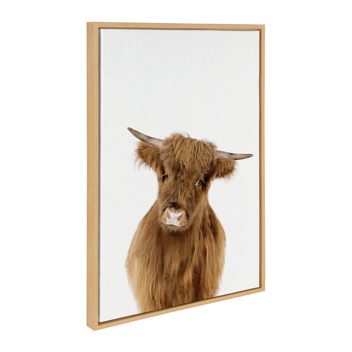 Sylvie Animal Studio Highland Framed Canvas by Amy Peterson Art Studio
