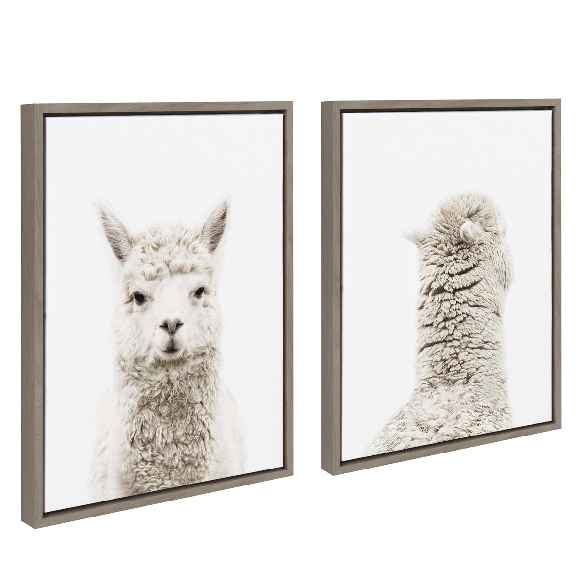 Sylvie Alpaca Front and Alpaca Back Framed Canvas Art Set by Amy Peterson Art Studio