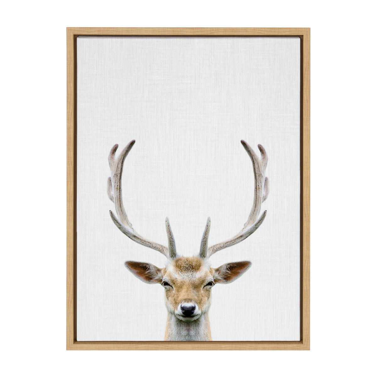 Sylvie Deer Color Framed Canvas by Simon Te of Tai Prints