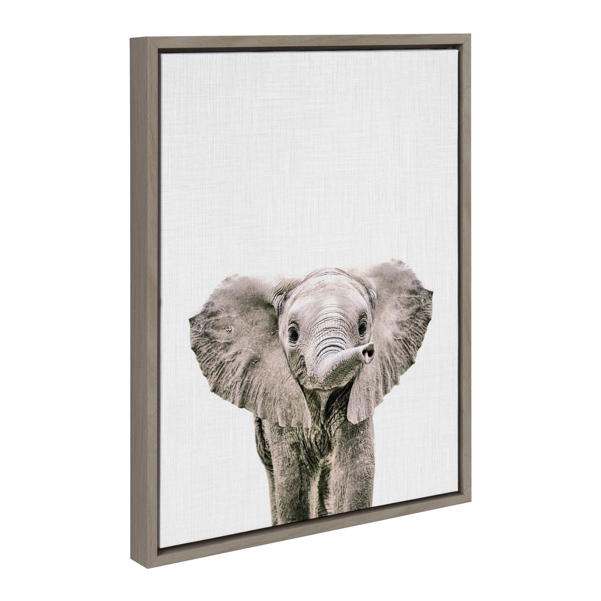Sylvie Baby Elephant Color Framed Canvas by Simon Te of Tai Prints