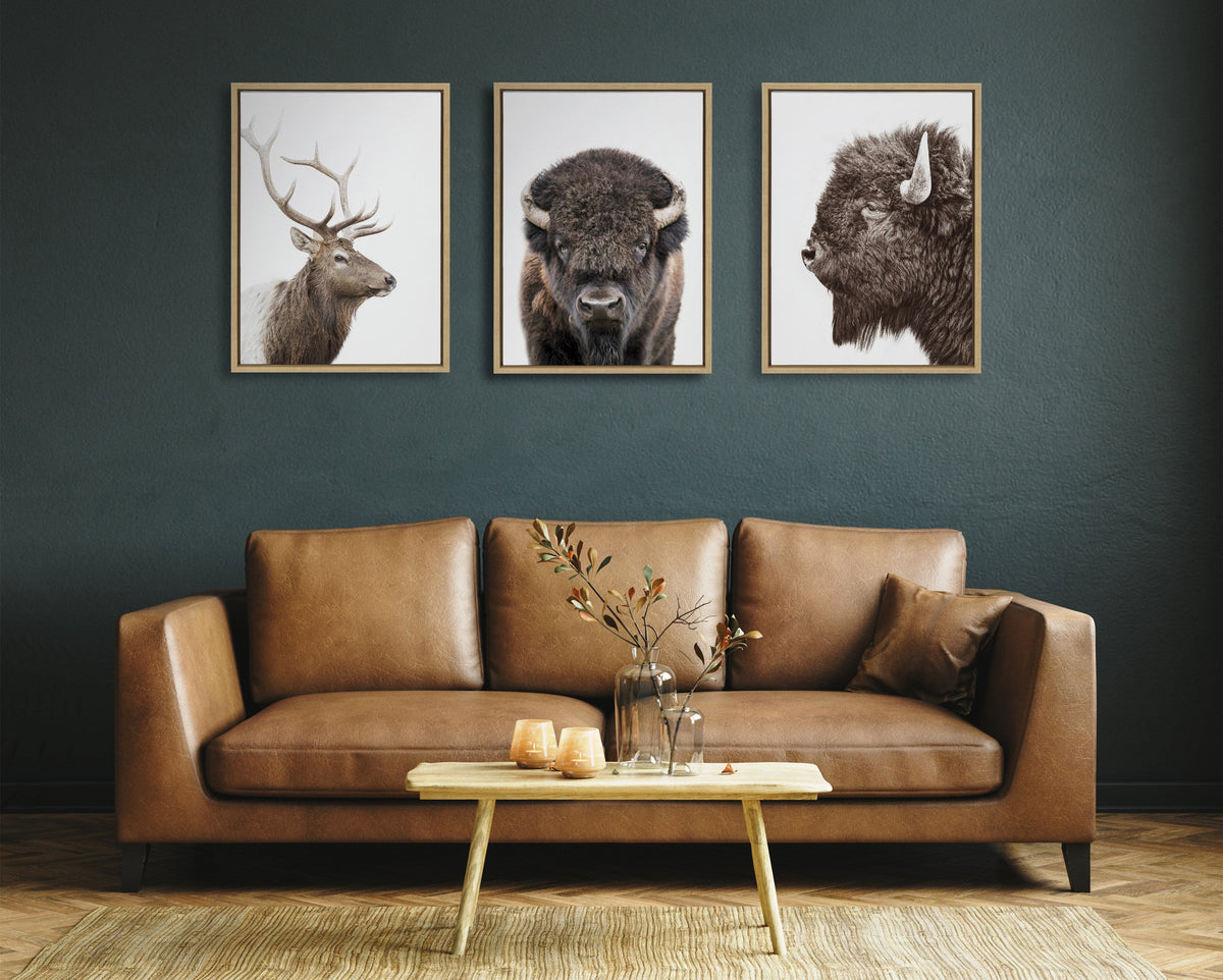 Sylvie Bison Profile Framed Canvas by Amy Peterson Art Studio